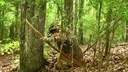 vlcsnap-2011-09-08-06h52m40s148 (Copier)
